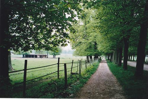 我可爱的小妹作文