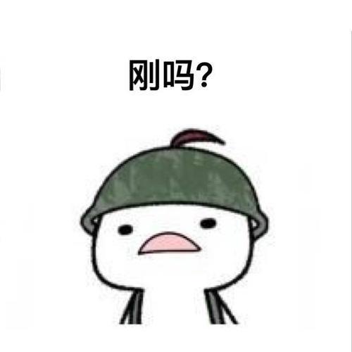 我家的阳台作文