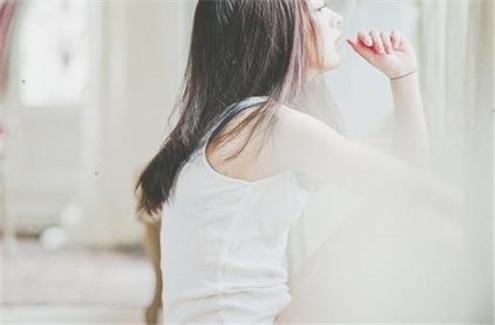 六年级菊花的作文