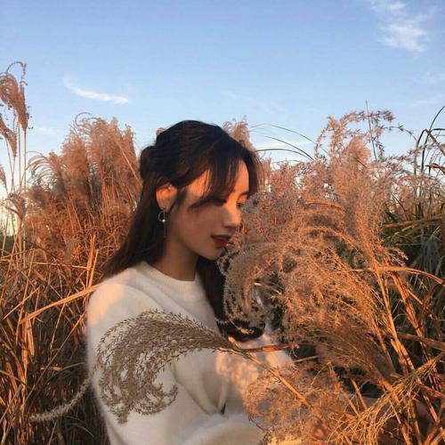 写苹果的说明文