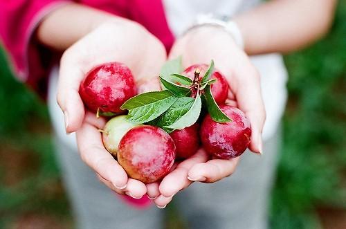 小学清明节作文600字左右