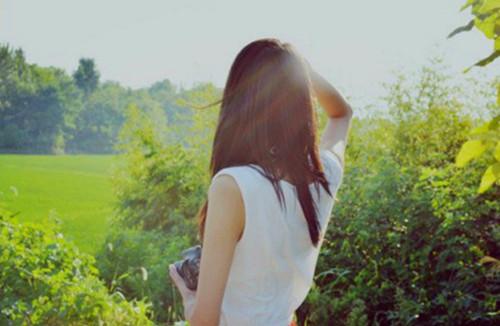 海棠花作文4篇[精华] 海棠花作文800字