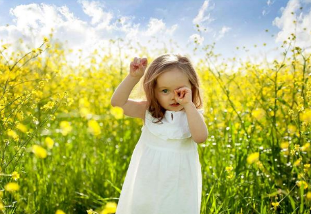 2025五年级写作文用橙篇 我得到了表扬200字