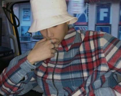 小学作文 崇明国家东平森林公园