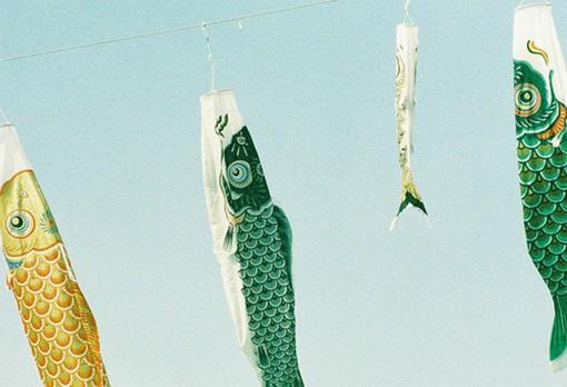 糖果店的糖果作文