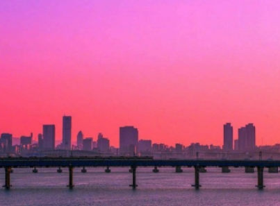 读书有感作文 小学生老舍读本内容