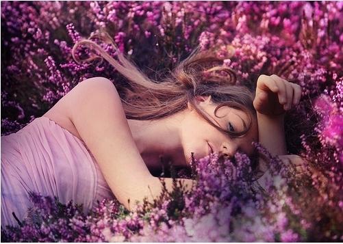 文具的争论作文