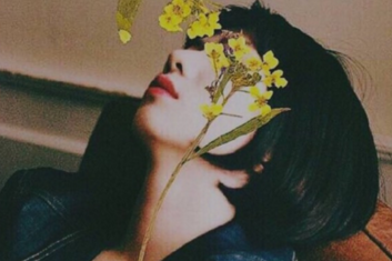 家乡的杨梅作文