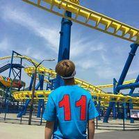 参观博物馆作文