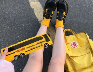 现实与目标作文