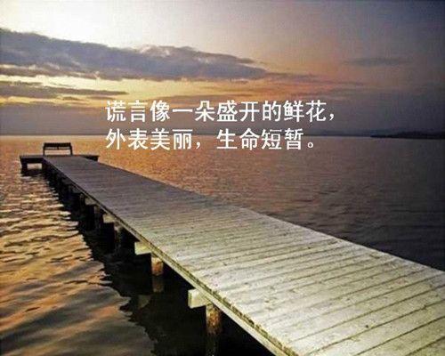 理想与现实作文