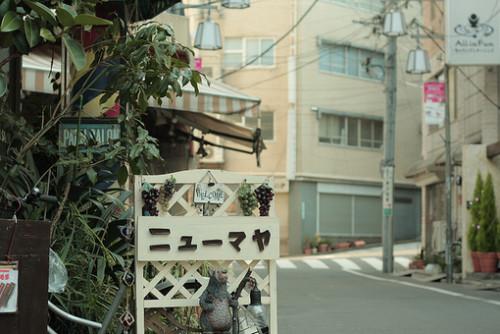 我最喜欢水果是桃子作文