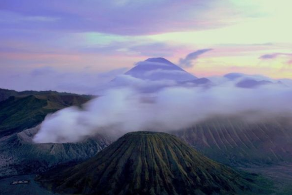 我家的多肉作文