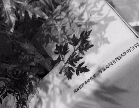 飞翔的羽毛球作文