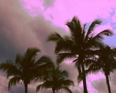 平凡的魅力作文