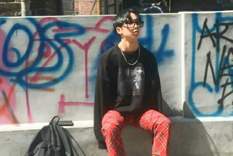 我是一粒种子作文