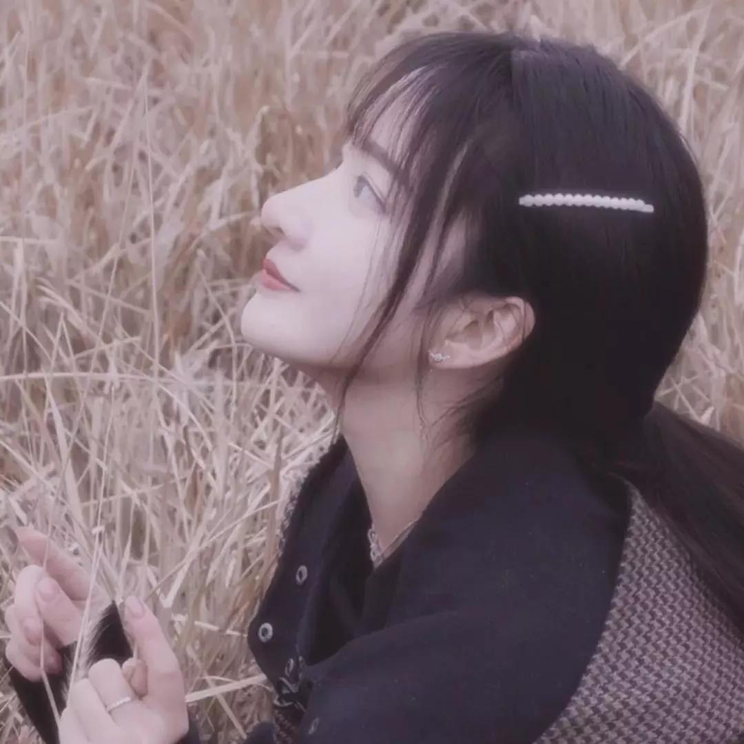 龟兔赛跑新编作文