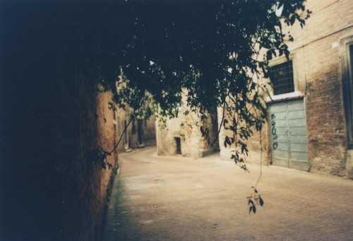 新年什么的作文