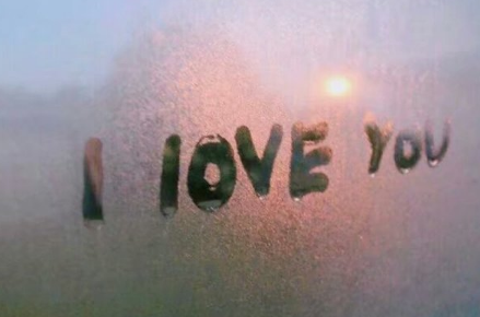 难忘的体验作文