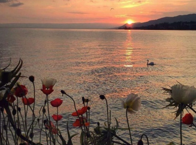 王国奇遇记作文