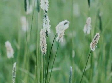 “黑暗料理”作文