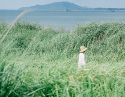 科学的力量作文