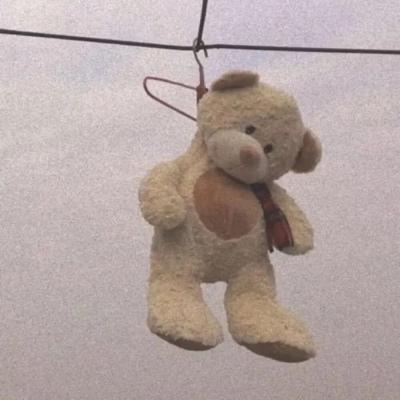 我最喜欢的荷花二年级作文