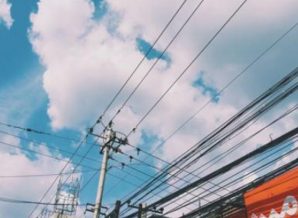  我最喜欢的花作文