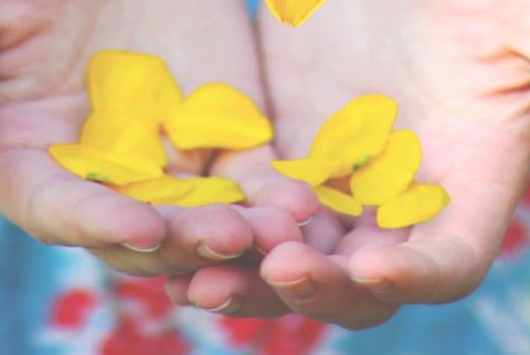 家温馨的港湾作文