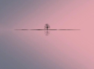 一节难忘的课作文精选30篇 难忘的一节课50字