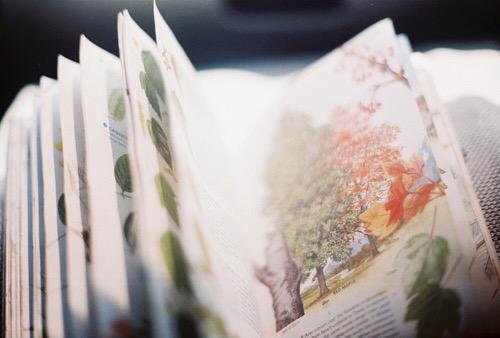 团结就是力量的小学作文600字