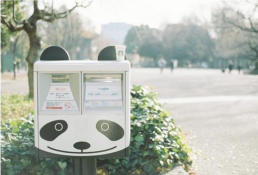 军训的优秀作文