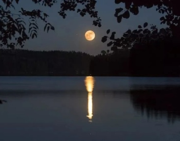 小学语文三年级作文