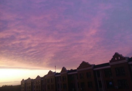 勇敢的心作文(篇)