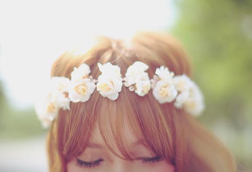 家乡的油菜花作文500字