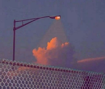 让自己奔跑起来作文