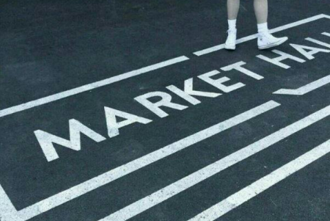 介绍自己的初二作文_小学生作文