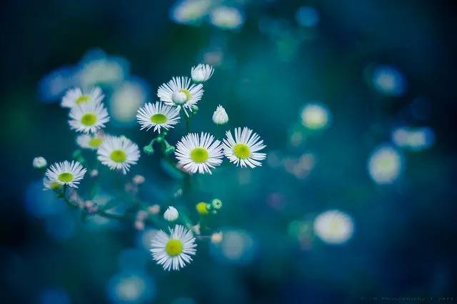 笔尖流出的故事六年级作文400字