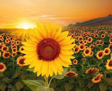 母爱初二叙事作文