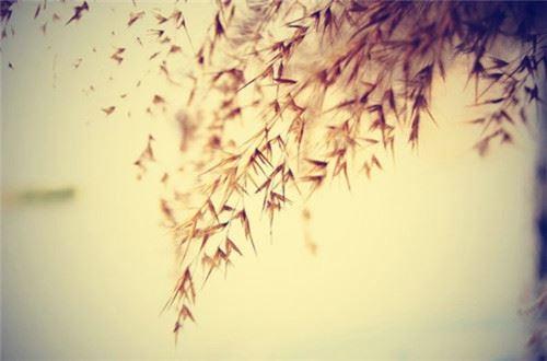 我亲爱的祖国作文