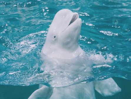 “我最想感谢的人” 我感谢的一个人作文400字