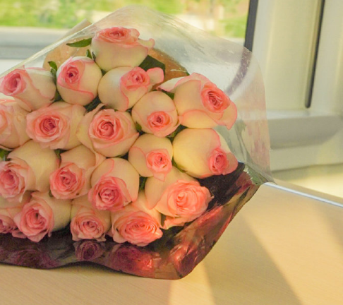 我的良师益友作文(通用15篇)