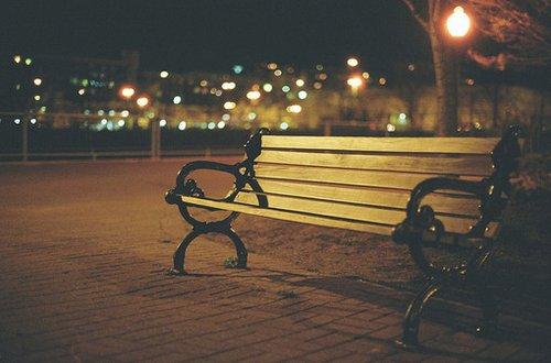 骑骆驼作文15篇(集合) 三年级看图写话《羊和骆驼》