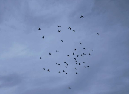 多彩的假期作文 多彩的假期作文450字