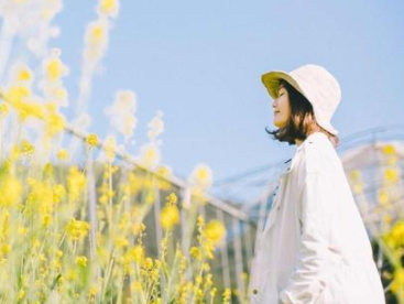 八年级清明节作文800字(20篇)