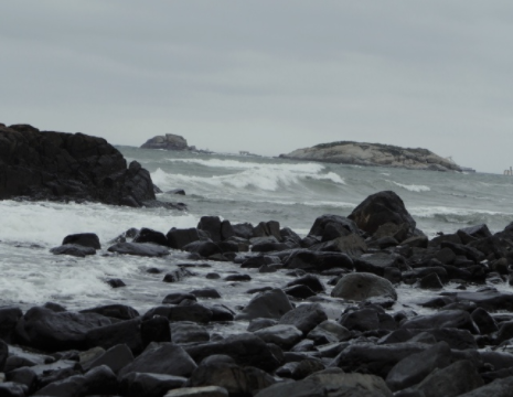 !作文 我心中最亮的星作文800字