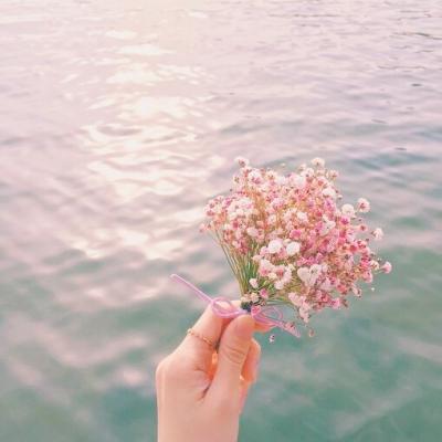 !作文 清明节作文高中