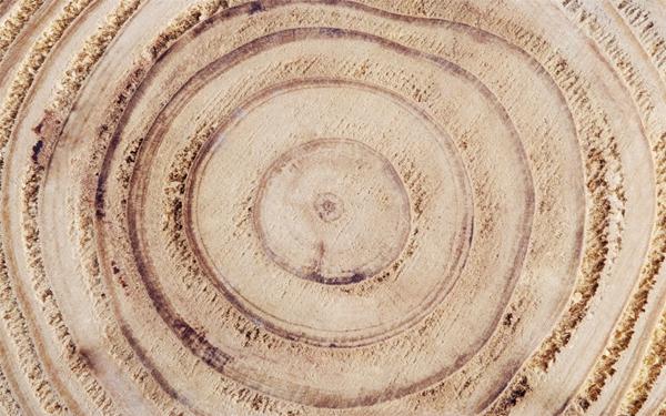 我们这个年纪作文