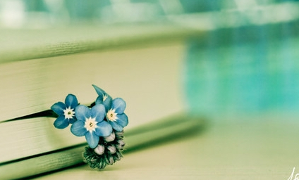 雷锋就在我们身边作文