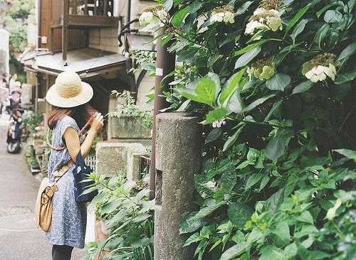 公园的一角作文